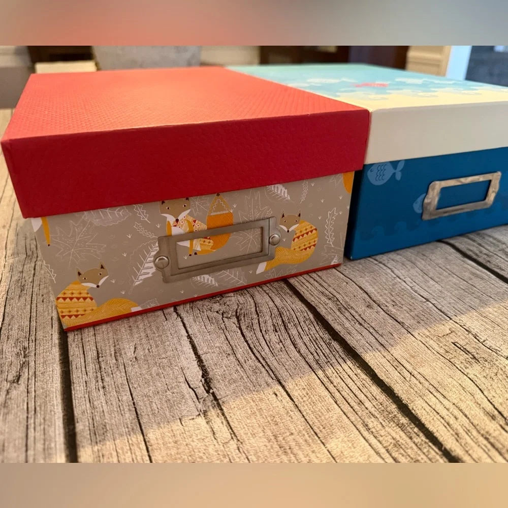 Set of 2 decorative storage boxes. Super cute!